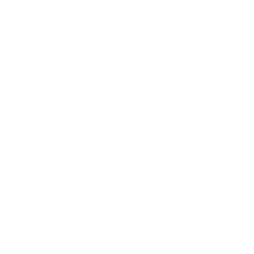 reyka logo
