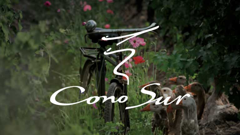 cono sur